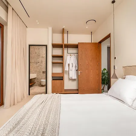 Noema Luxury Retreat - Adults Only فيلة Asfendiou